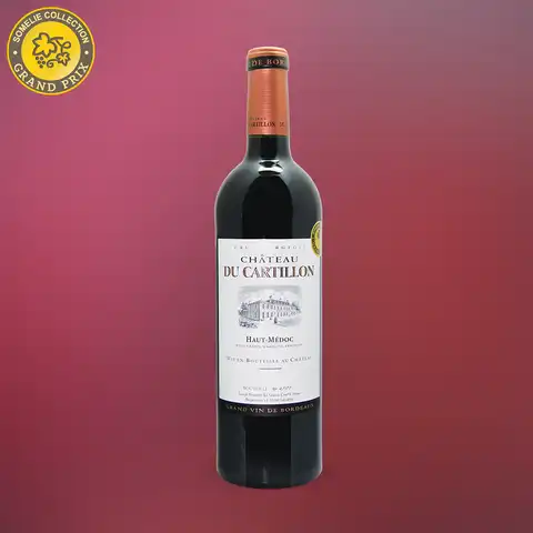вино ШАТО ДЮ КАРТИЙОН 2019 12-15% 0.75, красное, сухое, Франция