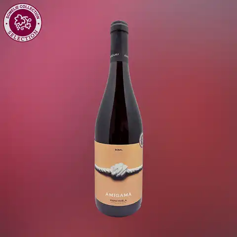 вино АМИГАМА БОБАЛЬ 12-15% 0.75, красное, сухое, Испания