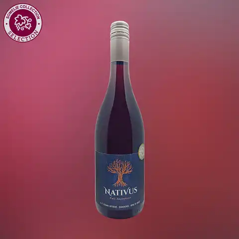 вино НАТИВУС ПАИС 10.5-13.5% 0.75, красное, сухое, Чили