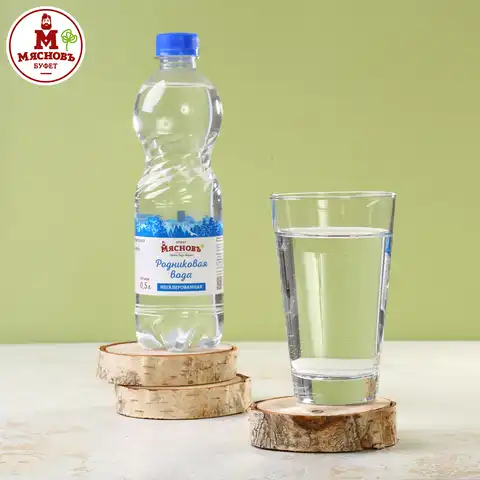 Вода питьевая негазированная 0,5л