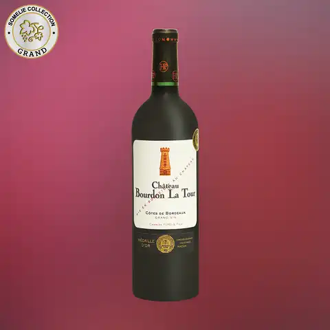 вино ШАТО БУРДОН ЛА ТУР 2020 13.5% 0.75, красное, сухое, Франция