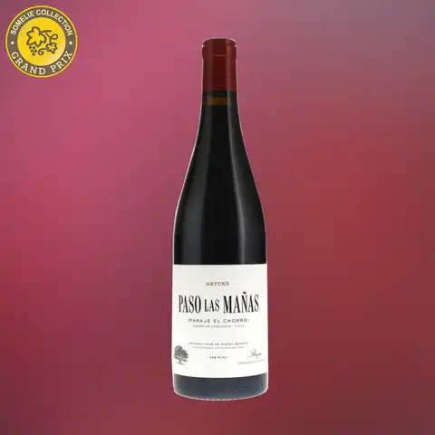 вино АРТУКЕ ПАСО ЛАС МАНЬЯС 2021 14% 0.75, красное, сухое, Испания