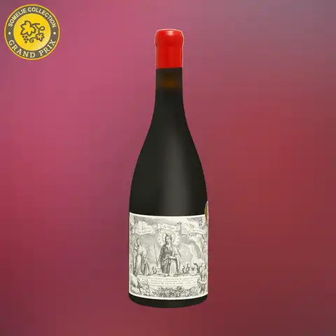 вино ЛА ВИРХЕН 2020 13.5% 0.75, красное, сухое, Испания