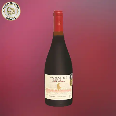 вино МОРАНДЕ ВИТИС УНИКА ПИНО НУАР 13.5% 0.75, красное, сухое, Чили