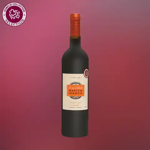 вино КАВЕШ САНТА МАРТА 10-15% 0.75, красное, сухое, Португалия
