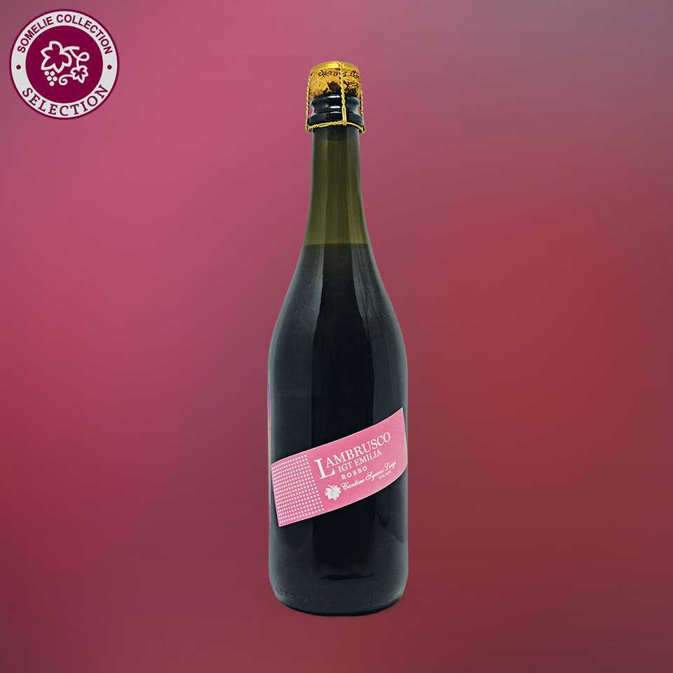 Ламбруско (Lambrusco): бюджетное игристое вино из Италии