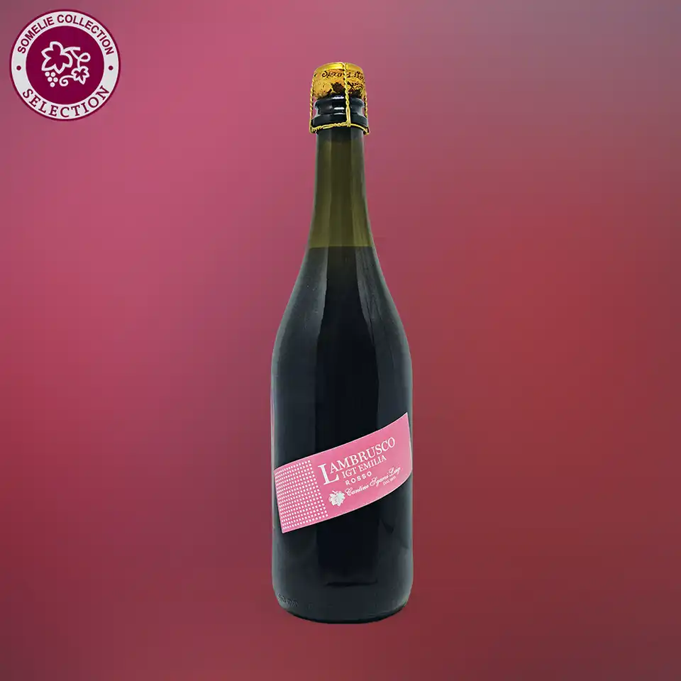 Игристые вина Ламбруско (Lambrusco)