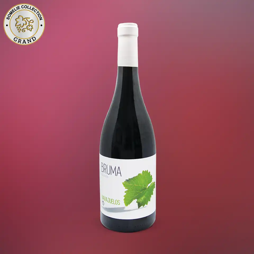 вино БРУМА НАВАХУЭЛОС 2018 14.5% 0.75, красное, сухое, Испания