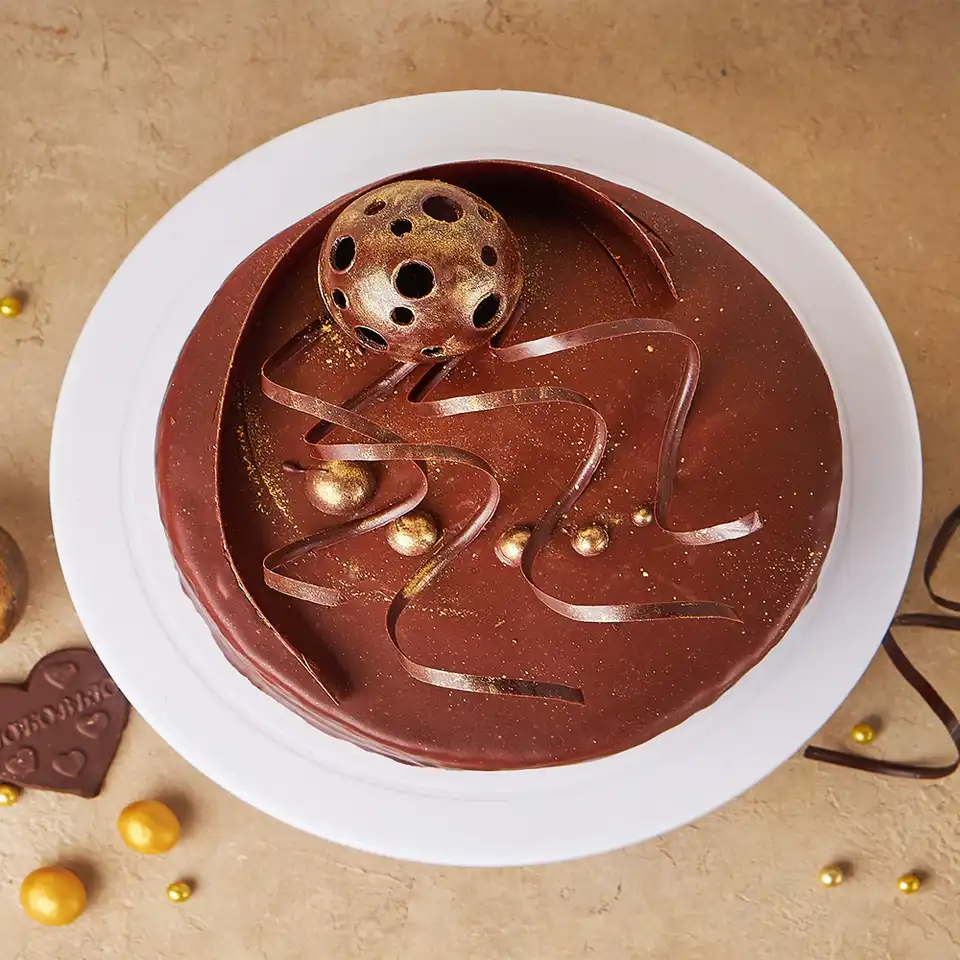 Торт Птичка шоколадная Шоколадный космос 1090г