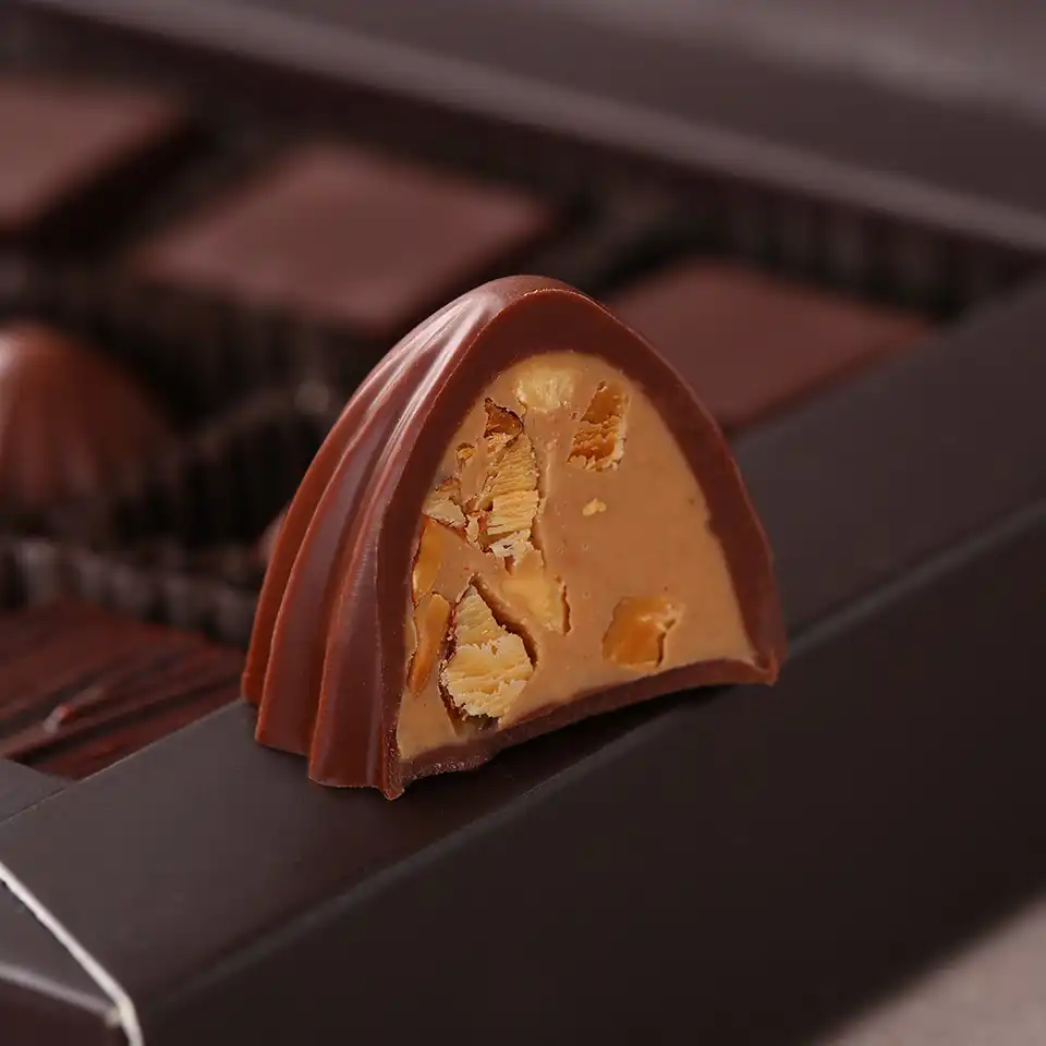 Шоколадные конфеты «Ореховое пралине», 120г
